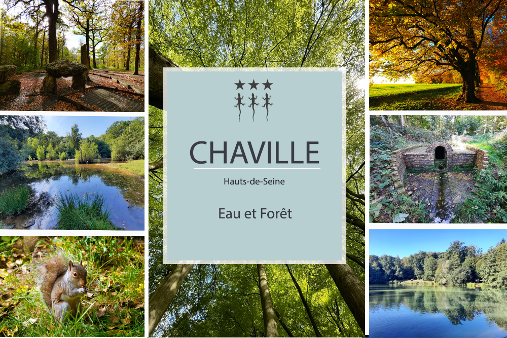 Chaville nature : ville d’Eau et de Forêts